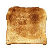 toastydigital.jpg