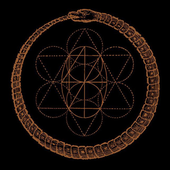 Avatar for spot3r
