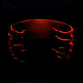 1000003525.gif