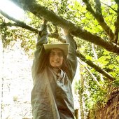 Jones in a tree 2003