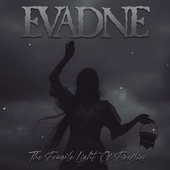 The Fragile Light Of Fireflies