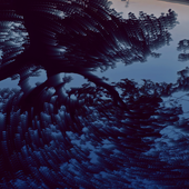 moshed-06-21-10-27-28 (1).png