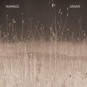 Grains