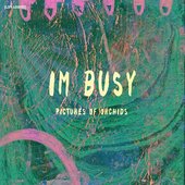 busy orchids.jpg