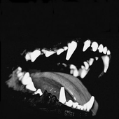 Avatar for HKM24