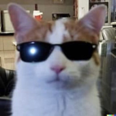 meowjaru 的头像