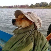 Avatar for ReapperQL