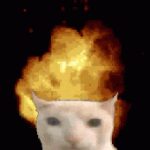 TigeZh 的头像