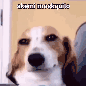 NotProperOne 的头像