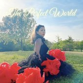 The Perfect World - Single