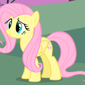 fluttershy