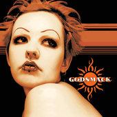 Godsmack (cover)