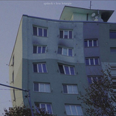 svll-1 1.png