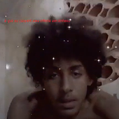 shaarksz kaiman