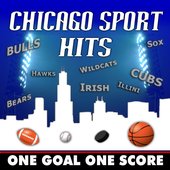 Chicago Sport Hits: One Goal One Score (Sounds of the Stadium Go Bulls. Bears, Blackhawks, Cubs, Sox Wildcats, Illini and the Irish)