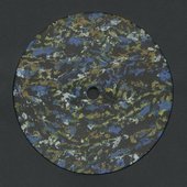 The Spectral Citadel