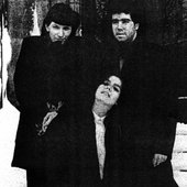 Area 1986