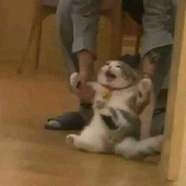 hopeyyyyyy 的头像