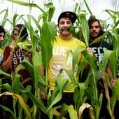wwol Corn.