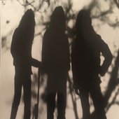 Squealer's Shadows (New Jersey)
