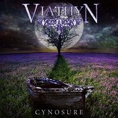 Cynosure