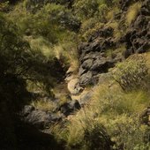 The Spot