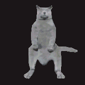 HughChungus 的头像