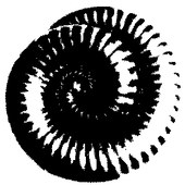 Avatar for saephus