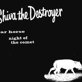 Shiva the Destroyer/ Fireworks 10\"