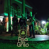 Asa de Grilo