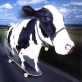 Avatar for truckmonth
