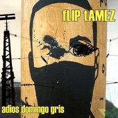 Adios Domingo Gris