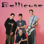 bellicose nu