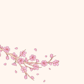 calamsty 的头像