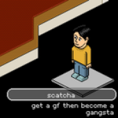 Avatar for Picklesquirrel