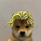 barychu 的头像