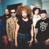 orgone-01-4-3.jpg
