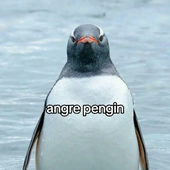 waterisgarb 的头像