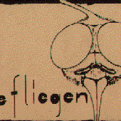 Die Fliegen