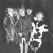 The Electric Prunes