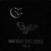 Ambient Owl Core (Vol 3)