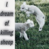 I Dream Of Killing Sheep