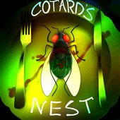 Cotard's Nest