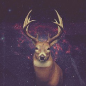 Awatar dla Space_Deer_8