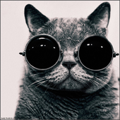 Avatar de SOFUCKINGLOUD