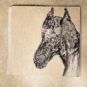 Darling Farm [Explicit]