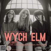 Wych Elm