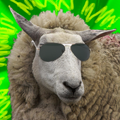 Mysterysheep için avatar