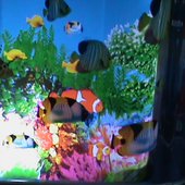 en febrero, te encontré