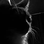 LastFM profile picture for @seamstress